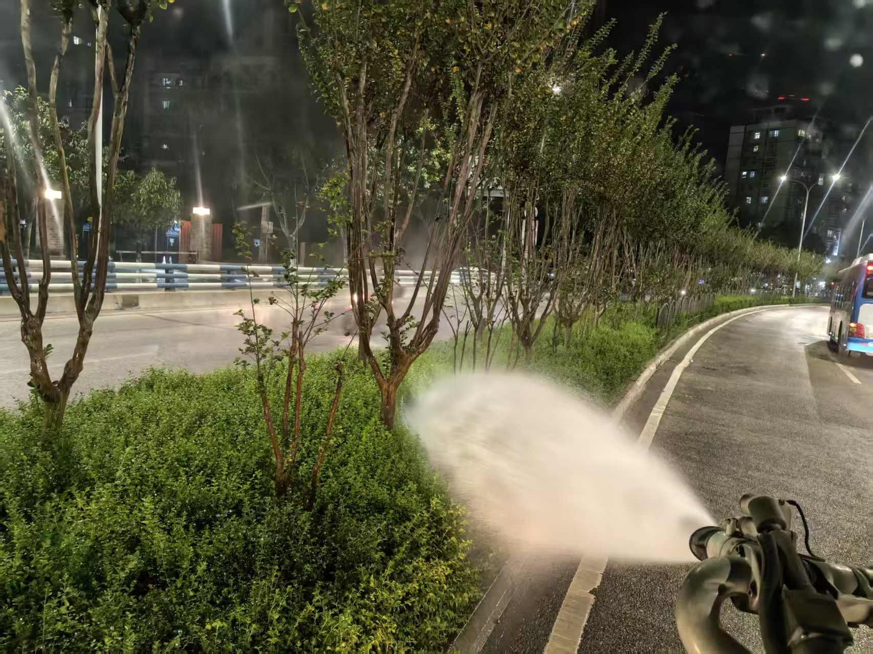 强化秋季浇灌  养护绿植根基