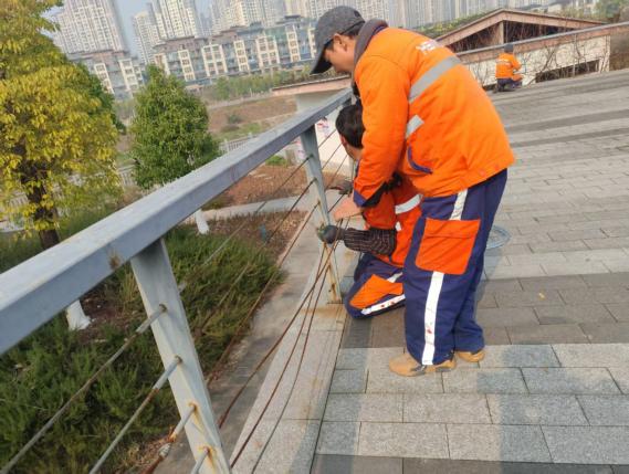 绿化处开展滨河公园基础设施维修工作