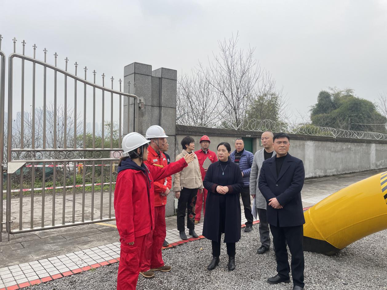沙坪坝区发展改革委举一反三开展天然气长输管道保护检查