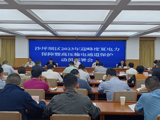 沙坪坝区召开2023年迎峰度夏电力保障工作动员部署会