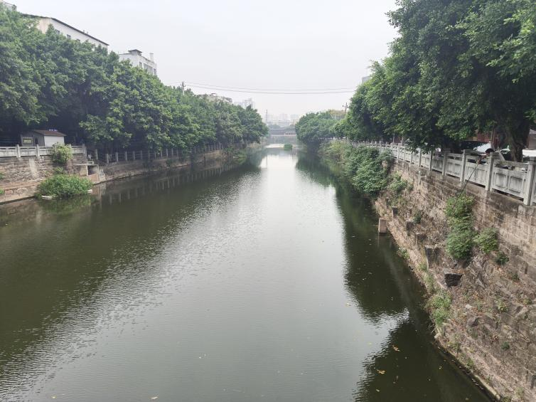 区农业农村委巡查龙凤河和虎溪河水生态环境