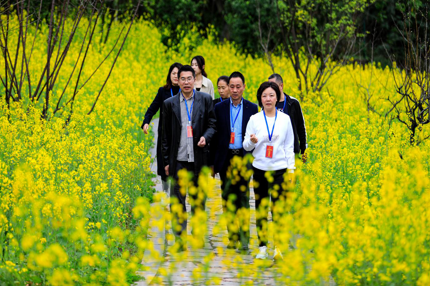 回龙坝镇：人大组织专题视察 助力乡村振兴