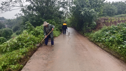 回龙坝镇：真武山村开展改善道路环境行动