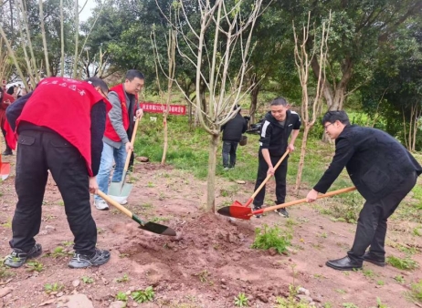 回龙坝镇：退役军人服务站开展植树活动
