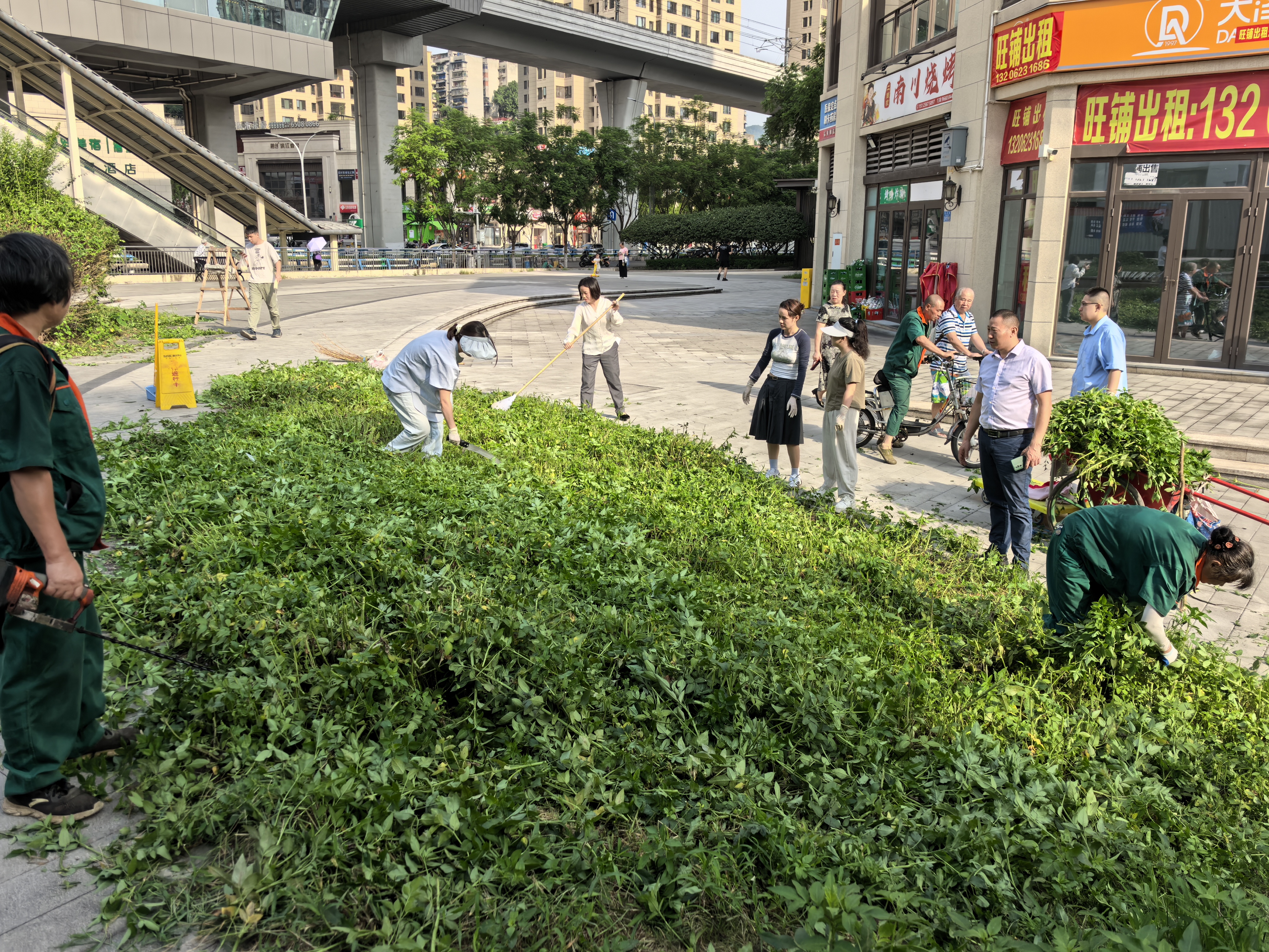 石井坡街道石滨路社区组织青年开展环境清洁行动共筑美丽家园