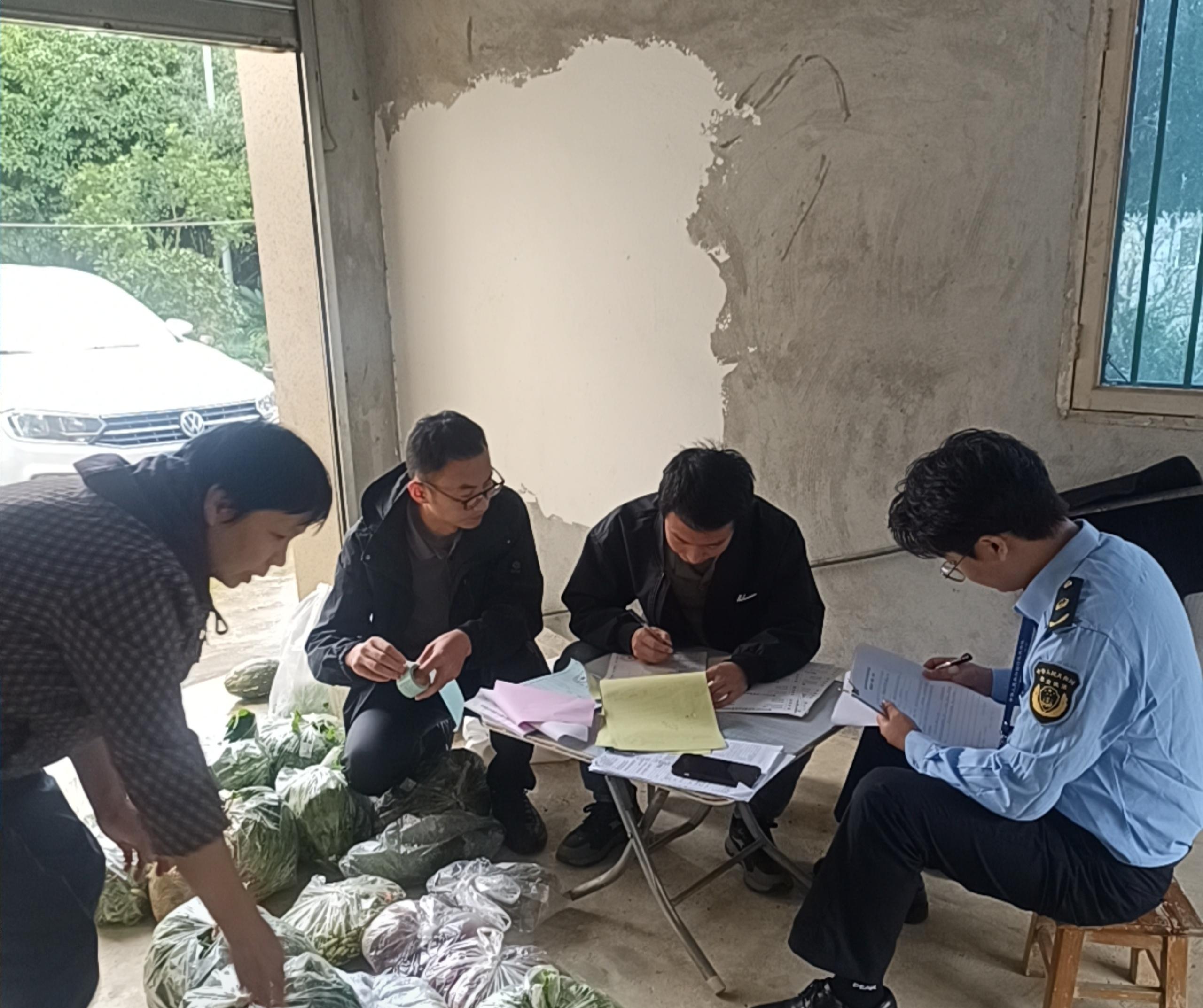 沙坪坝区农业农村委开展农产品质量安全监督抽检