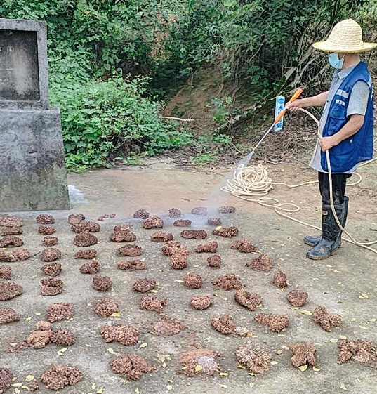扎实推进白蚁防治 保障水利工程安全