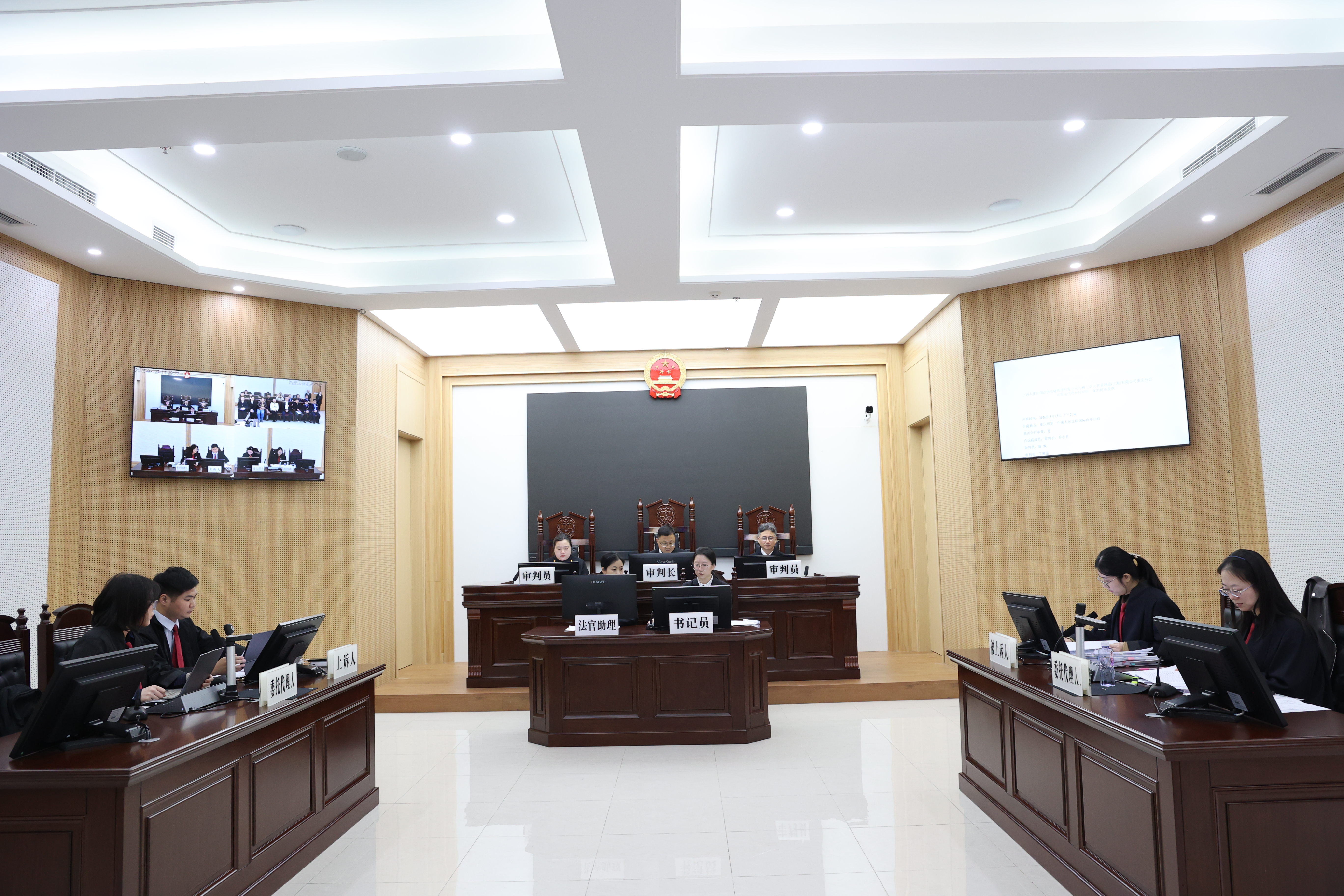 巡回审判进园区 司法服务( (1).jpg