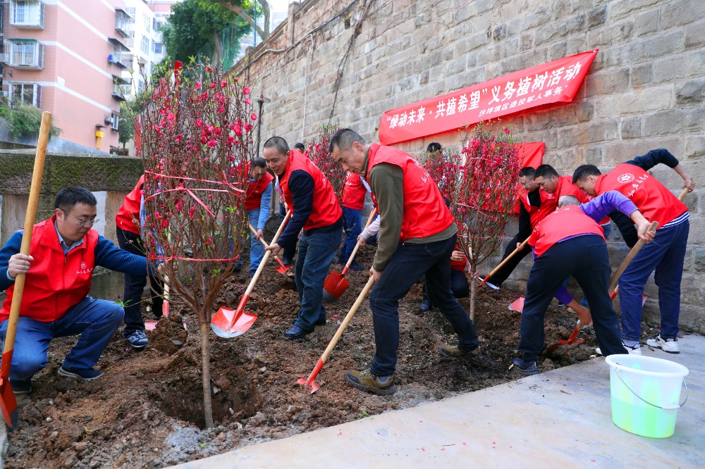 “绿动未来·共植希望”——沙坪坝区开展“红岩退役军人志愿者”义务植树活动1.jpeg