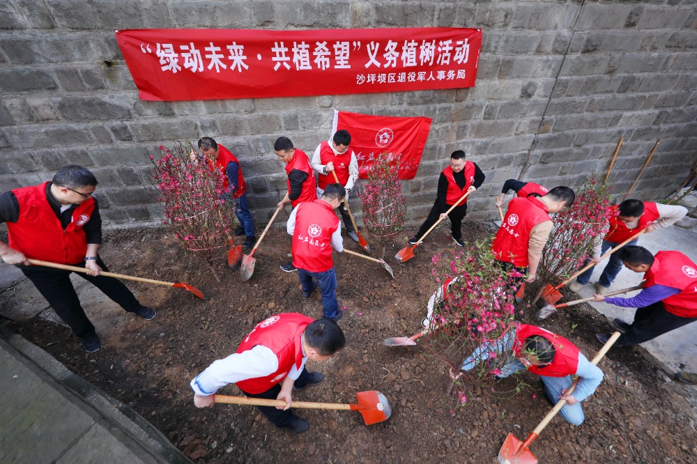 “绿动未来·共植希望”——沙坪坝区开展“红岩退役军人志愿者”义务植树活动2.jpeg