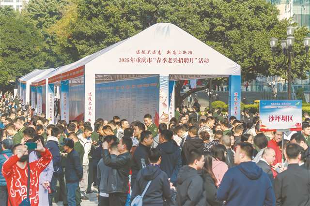 精准推送岗位 精心教育培训 精细落实政策 助力重庆退役军人高质量充分就业.jpg