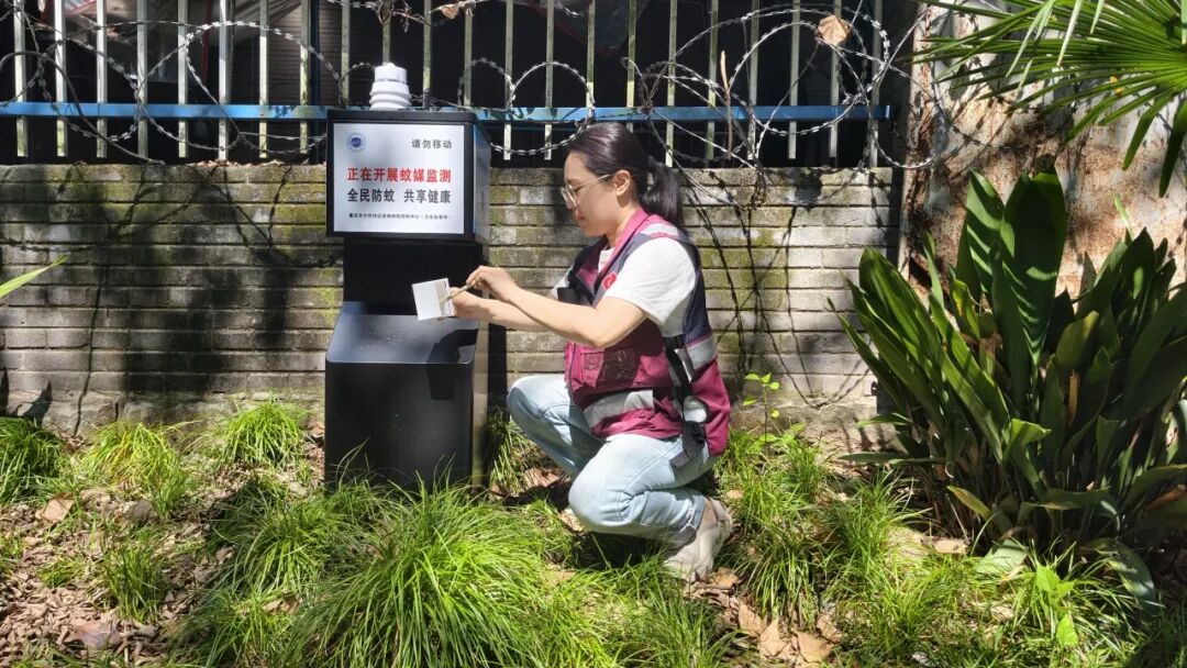 沙坪坝区试点部署智能蚊媒监测设备 开启蚊媒防控数智化新篇章2.jpg