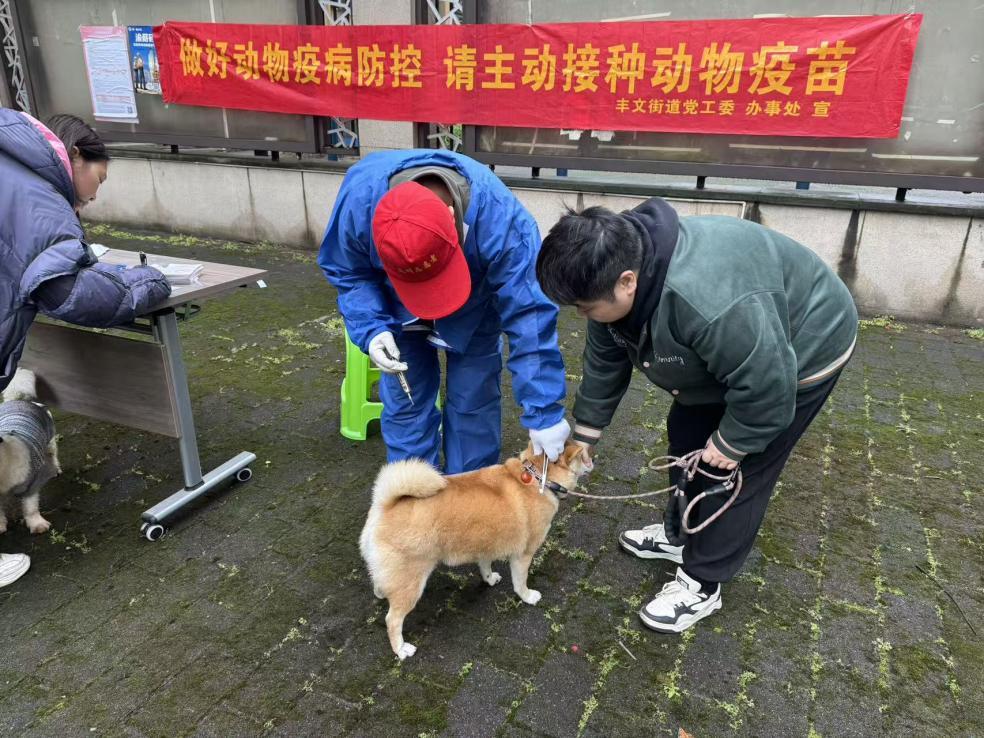 丰文街道清悦社区开展免费注射狂犬疫苗活动