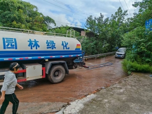 回龙坝镇：真武山村开展雨后道路清理工作