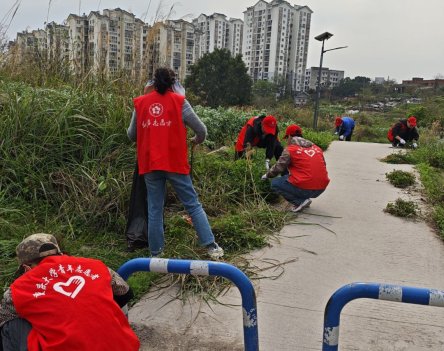 回龙坝镇：聚龙城社区开展卫生除草活动
